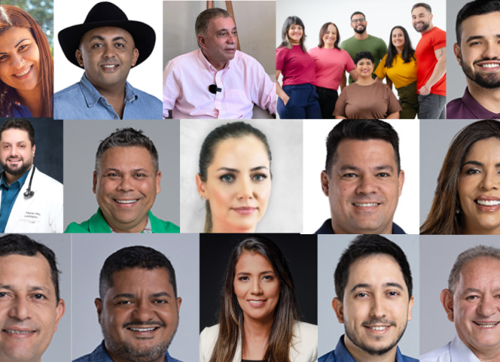 renovacao-na-camara-de-palmas:-15-novos-vereadores-sao-eleitos;-saiba-quem-sao