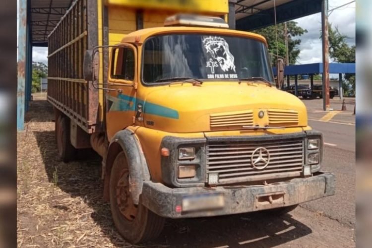 O transporte de animais sem guia de trânsito animal (GTA) e sem nota fiscal é considerado infração sanitária e tributária. Foto: PRF/Divulgação.