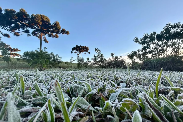 Massa de ar polar avança e promete temperaturas próximas de zero. Foto: Ana Tigrinho/AEN